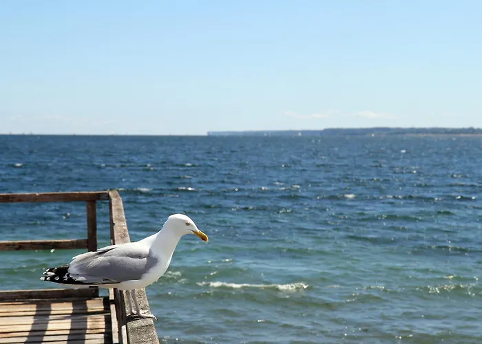 Wohlfuehloase Eckernförde